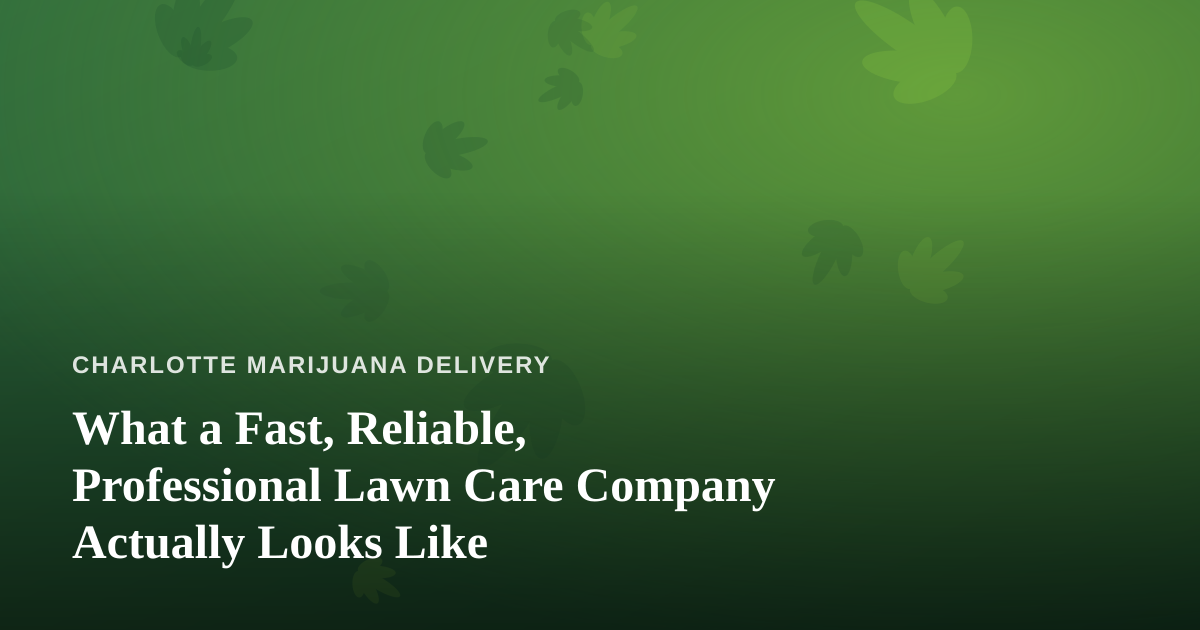 What a Fast, Reliable, Professional Lawn Care Company Actually Looks Like